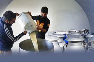 Pulwama Dairy Owners Face Problems