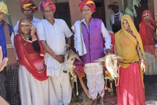 Gau-Nandi Marriage Festival in Chittorgarh