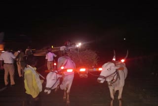 traffic-police-gave-radium-bullock-cart-in-kalaburagi