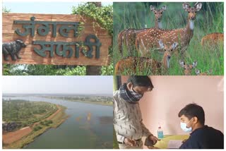 Raipur Jungle Safari