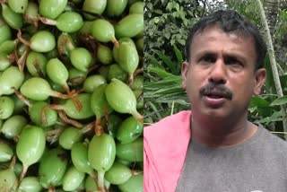 Idukki cardamom cultivation in crisis  ഇടുക്കി ഏലം മേഖല പ്രതിസന്ധിയില്‍  ഏലം വിലയിടിവ്  Cardamom prices fall