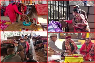 Virender Kanwar inspected the Cow Sanctuary