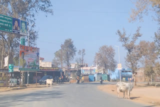 Weekend lockdown in Balrampur