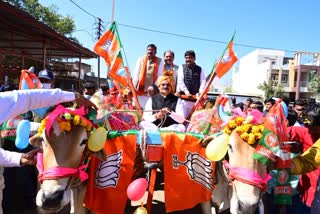 VD Sharma rides bullock cart