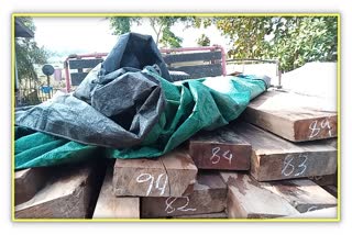 illegal-timber-seized-by-golaghat-forest-department