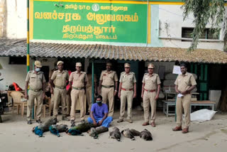 Seven peacocks poisoned and killed - one arrested