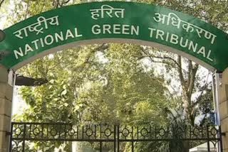 ngt-reprimands-ghaziabad-municipal-corporation-and-up-pollution-control-board