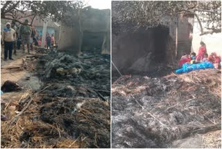 elderly-woman-died-due-to-fire-in-hut-in-dumka