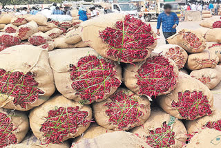 Mirchi Price in Telangana