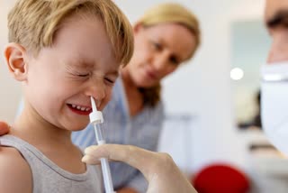 Intranasal flu vaccine with nanoparticles offers robust protection, what is an intranasal vaccine, influenza vaccine