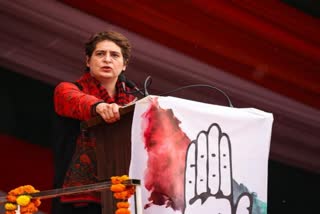 UP Polls: Priyanka Gandhi to begin door-to-door campaign from Noida today