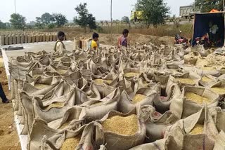 target of buying paddy will be completed soon in Chhattisgarh