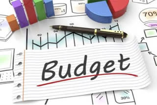 Union Budget 2022: All you need to know about economic terms of the budget