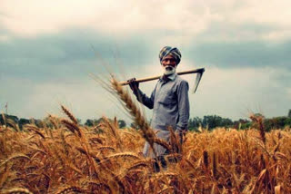 budget 2022  budget agriculture sector  farmers budget expectations  ബജറ്റ് കാര്‍ഷിക മേഖല പ്രതീക്ഷകള്‍  കേന്ദ്ര ബജറ്റ്  നിര്‍മല സീതാരാമന്‍ ബജറ്റ്