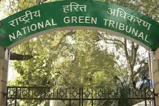 order-of-the-ngt-for-investigation-of-open-smelly-drain-near-the-society-of-vasant-kunj-delhi