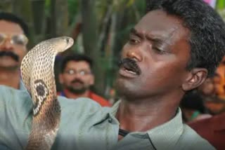 snake expert Vava Suresh critical after snake bite in kerala