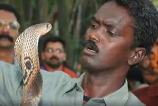 Famous snake catcher Vava Suresh