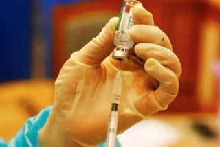 corona vaccination in himachal