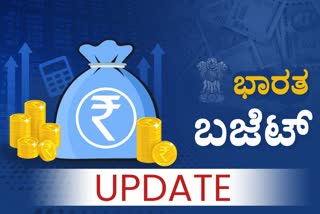 Central Budget live updates