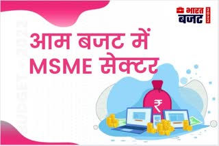 union budget msme sector