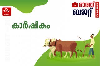 union budget 2022  union budget 2022 agriculture  nirmala sitaraman agriculture  ബജറ്റ് 2022 കാർഷിക മേഖല  നിർമല സീതാരാമൻ ബജറ്റ്