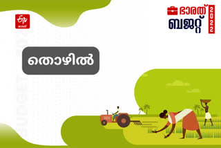 budget 2022 മോദി സർക്കാരിന്‍റെ ബജറ്റ് ധനമന്ത്രി നിർമല സീതാരാമന്‍റെ ബജറ്റ് കേന്ദ്ര ബജറ്റ് 2022 ബജറ്റ് 2022 തൊഴിൽ തൊഴിൽ പദ്ധതിക്ക് കൂടുതൽ തുക