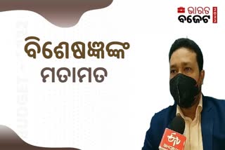 ବଜେଟକୁ ନେଇ ଅର୍ଥନୀତି ବିଶେଷଜ୍ଞଙ୍କ ପ୍ରତିକ୍ରିୟା