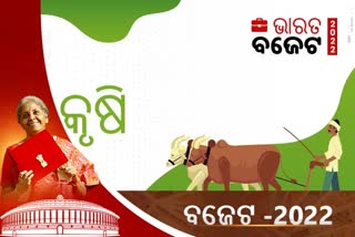 Union Budget : ସ୍ମାର୍ଟ କୃଷି ପାଇଁ ବ୍ୟବହାର ହେବା କିଶାନ ଡ୍ରୋନ