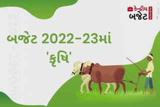 Budget Agriculture Sector: 163 લાખ ખેડૂતો પાસેથી 1,208 મેટ્રિક ટન ઘઉં અને ડાંગરની ખરીદી કરાશે