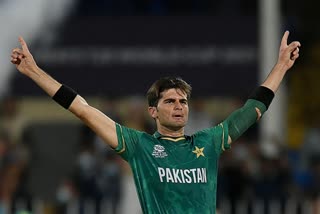 Shaheen Afridi