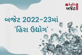 Union Budget 2022 :  ડાયમંડ ઉદ્યોગમાં કસ્ટમ ડ્યુટીનો ઘટાડો..જાણો ફાયદો કે નુકસાન?