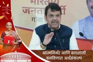 Devendra Fadnavis on Union Budget