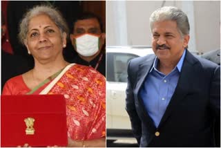 anand mahindra sitharaman