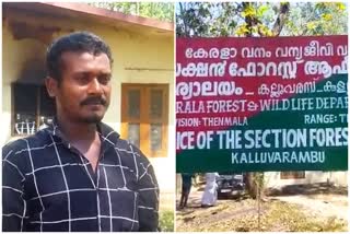 Sandal Case in Kolathoor  Kollam Sandal Case  Thenmala forest Range  Sandal Smuggling  കുളത്തൂപ്പുഴ ചന്ദന കടത്ത്  ചന്ദന മരങ്ങള്‍ മുറിച്ച് കടത്തി