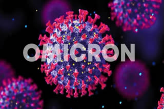 ഒമിക്രോൺ ഉപ വകഭേദം  Omicron sub variant  Study shows Omicron sub variant spreads more than original strain  ഒമിക്രോൺ ഉപ വകഭേദം വ്യാപനശേഷി കൂടിയത്  ഒമിക്രോൺ ഗവേഷണം ഡെൻമാർക്ക് പഠനം  ബിഎ1 ബിഎ2  BA2 BA1 variants