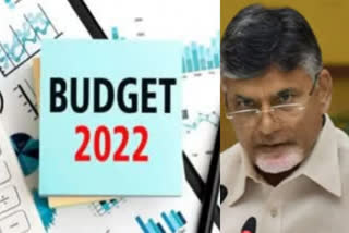 Chandrababu speaks on union Budget