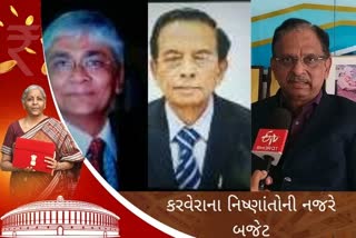 Union Budget 2022 : જાણો, બજેટના મુદ્દે વિવિધ નિષ્ણાંતોના મંતવ્યો