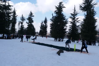 Snow cricket tournament held for the first time in Pulwama district  Pulwama Snow cricket tournament  പുൽവാമ സ്നോ ക്രിക്കറ്റ് ടൂർണമെന്‍റ്  പുൽവാമയിൽ ആദ്യമായി സ്നോ ക്രിക്കറ്റ്