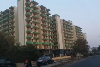 dda flat in rohini area