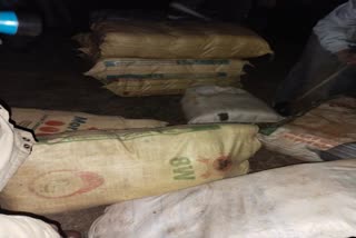 ganja recovered in raids