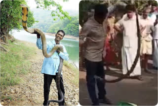 vava suresh snakebite