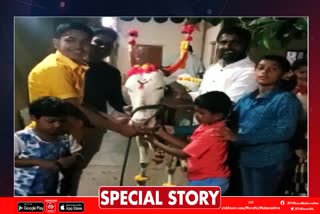 pregnent cow baby shower ceremony in pune