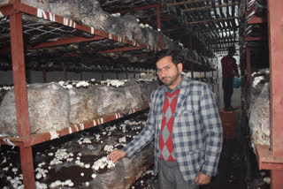 Mushroom grower Bishan Das