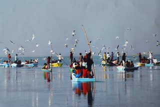 Nalsarovar Bird Sanctuary: નળસરોવર અને થોળ પક્ષી અભ્યારણ્ય 5 અને 6 ફેબ્રુઆરી બંધ રહેશે