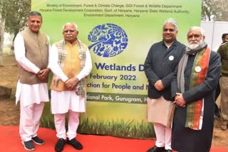 Minister of State for Environment Ashwini Choubey and Haryana Chief Minister ML Khattar