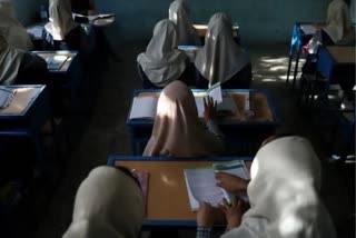 resume education in afghan universities