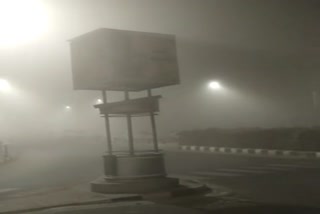 Gujarat Weather Report : સુરતમાં વહેલી સવારથી જ ગાઢ ધુમ્મસ નજારો, હિલ સ્ટેશન જેવો માહોલ સર્જાયો