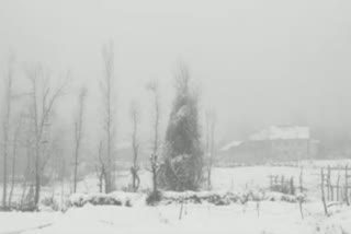 Kashmir once again receives fresh tinge of snow and rainfall