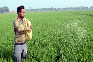 MP ministers farms model natural organic farming