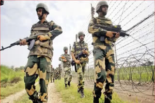 BSF kills Pakistani infiltrator in Ferozepur sector